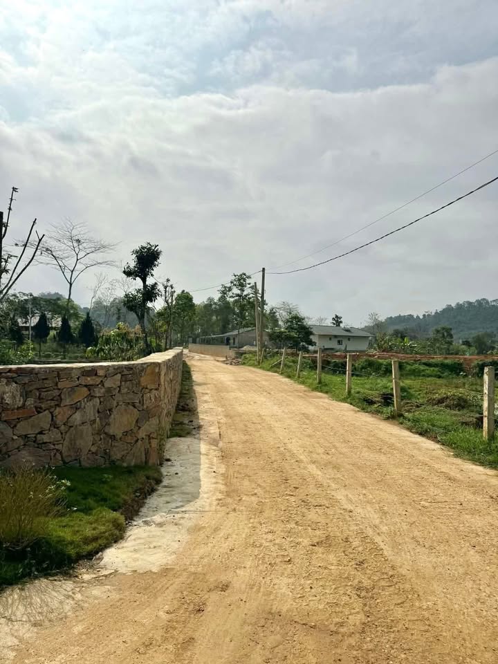 Đất nền Phong Quang, Hà Giang 1650m² - Xây dựng tự do, tiềm năng lớn!