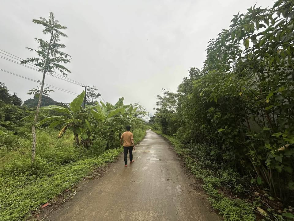 Đất nền Thành phố Hà Giang 350m² chỉ 220 triệu - Đường to ô tô!