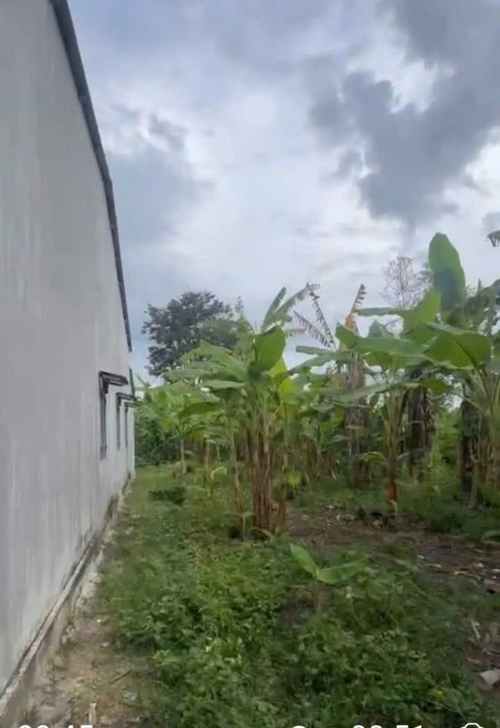 Đất Nền Xã Hòa Bình, Kon Tum - 357m² Thổ Cư, Giá Chỉ 2xx Triệu