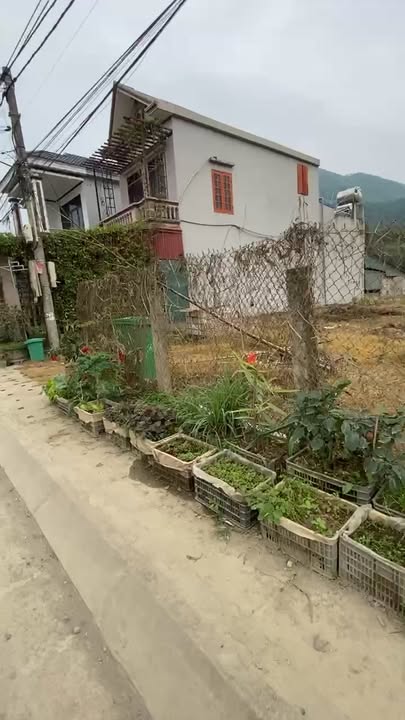 Cho thuê Đất 3600m² Phố Hích, Đồng Hỷ - Mặt tiền Quốc lộ siêu đẹp!