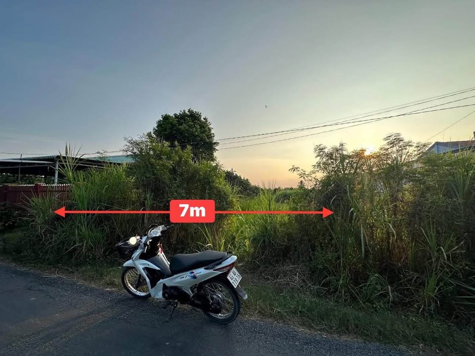 Đất nền Xã Tân Thuận Bình, Chợ Gạo 500m² - Sổ hồng sẵn sàng, giá 650 triệu