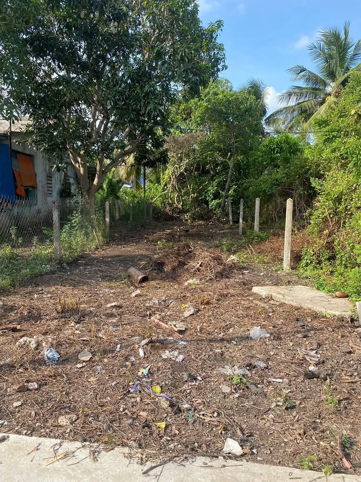 Đất Nền Mỹ Tho 100m² Full Thổ Cư - Sổ Sẵn, Giá Đầu Tư!