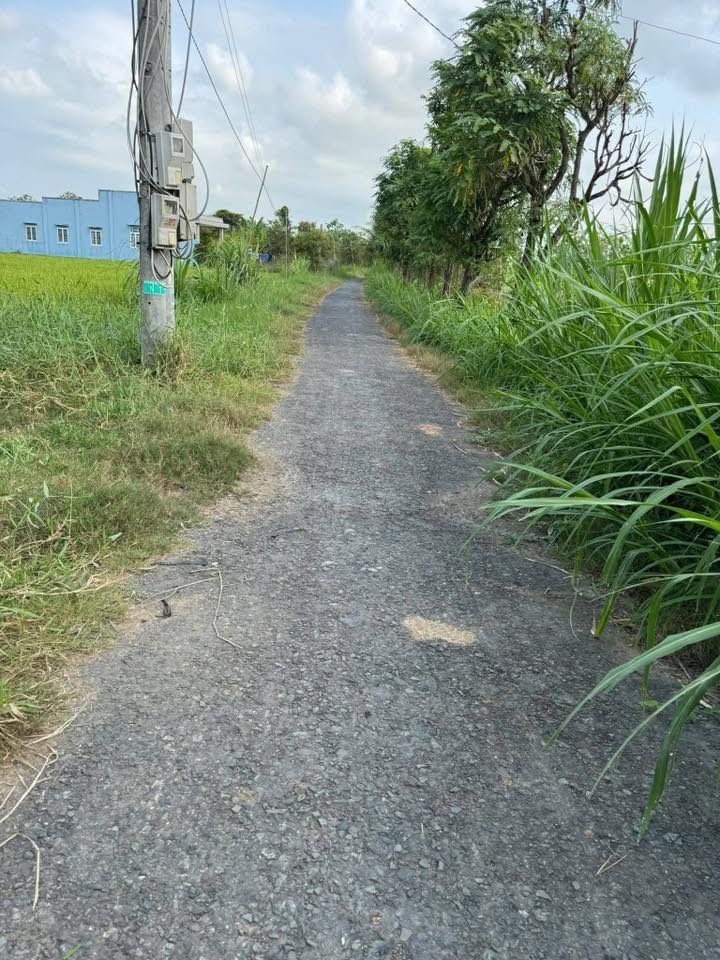 Đất nền Kim Liên, Gò Công 250m² - Sổ sẵn, giá 400 triệu