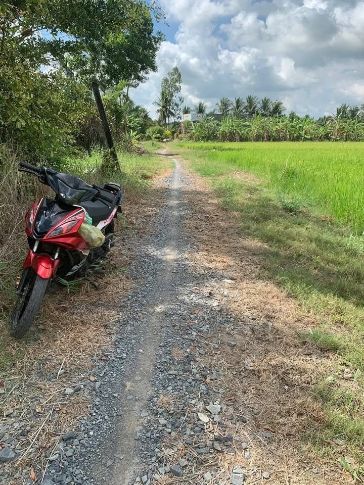 Bán Đất Ruộng Mỹ Hòa, Ba Tri - 3600m² Giá Tốt