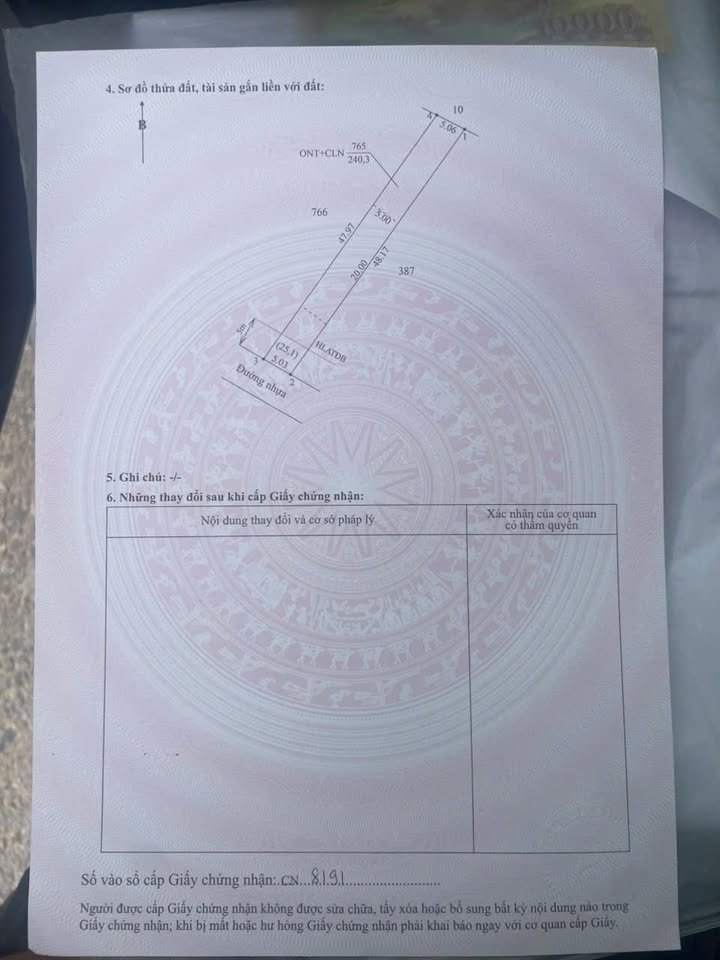 Đất nền Định An 240m² - Sổ đỏ thổ cư, tiềm năng du lịch!