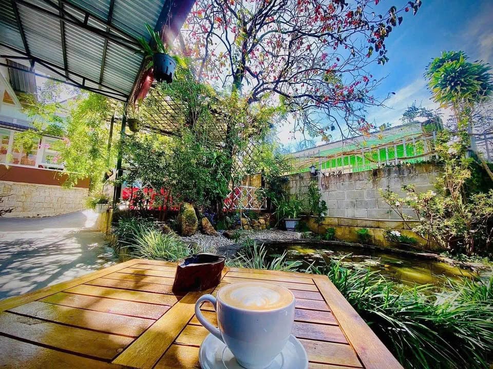 Đất xây dựng Cô Giang P9 Đà Lạt 548m² 42 tỷ - Sổ riêng xây dựng