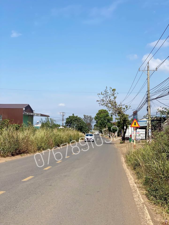 Đất Vườn Lạc Dương 1515m² - Sẵn Sổ Hồng, Tiềm Năng Đầu Tư Vượt Trội