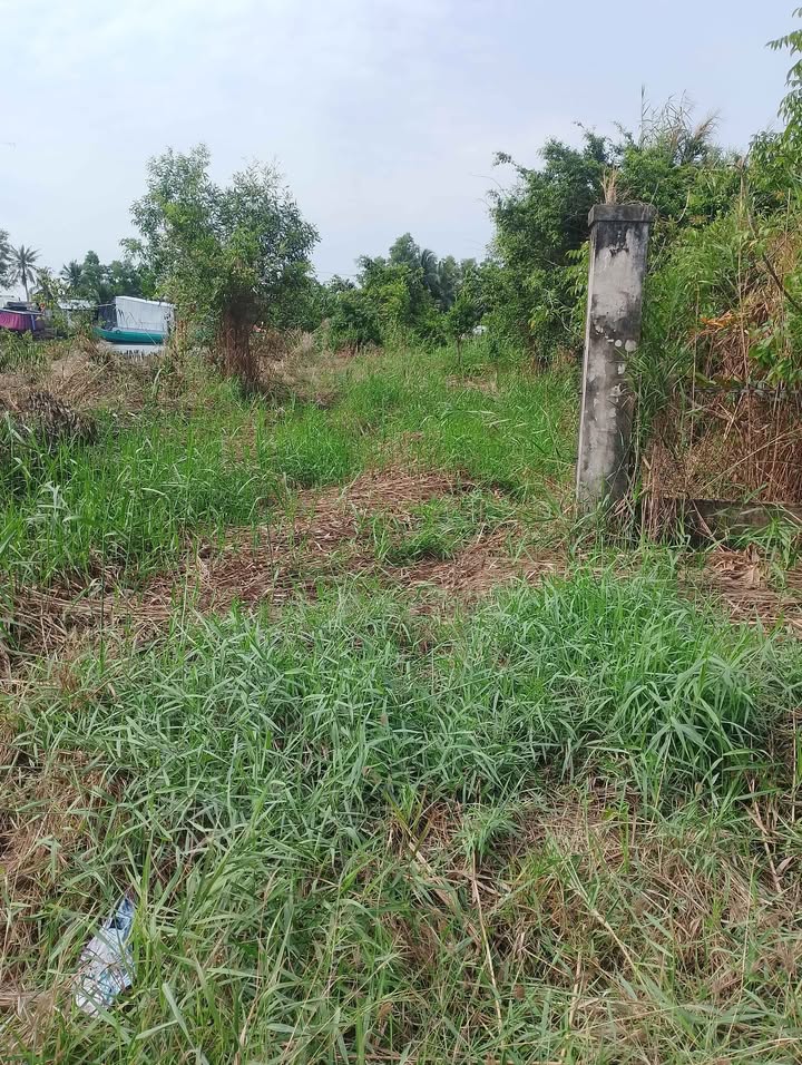 Bán Gấp Đất Vàng 810m² Kinh 2, An Minh, Kiên Giang - Giá Đầu Tư 32.4 Tỷ