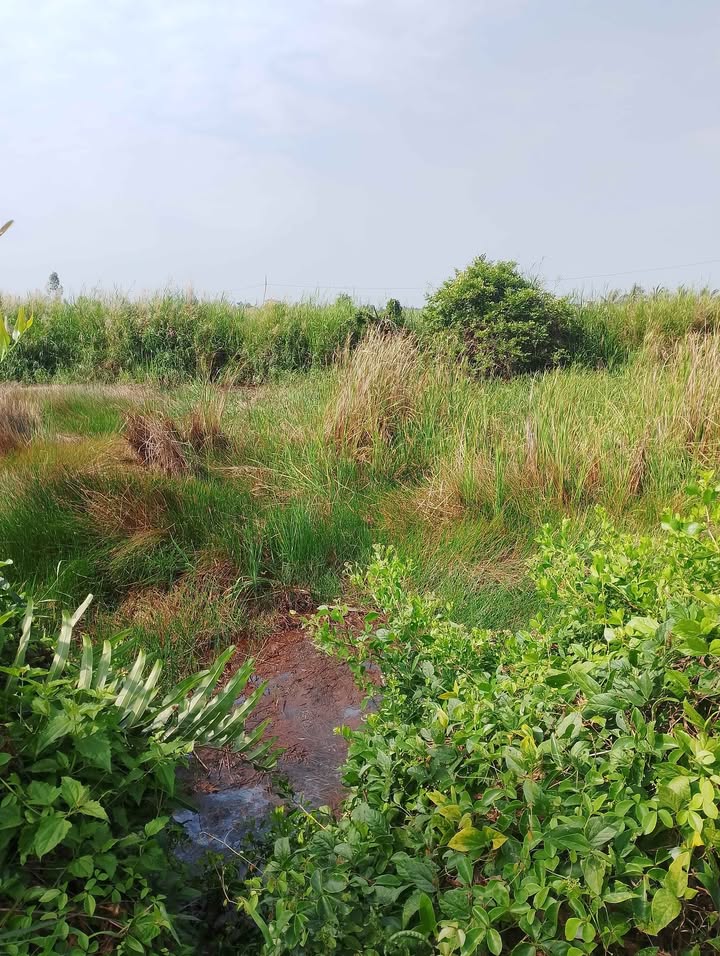 Đất Nền Vĩnh Quang, Rạch Giá 240m² - Tiềm Năng Tăng Giá Vượt Trội!