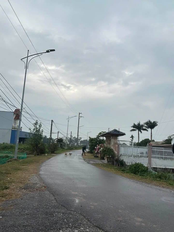 Bán Đất Nền Thôn 3 Móng Cái 88-147m² - Giá Từ 3xx Triệu