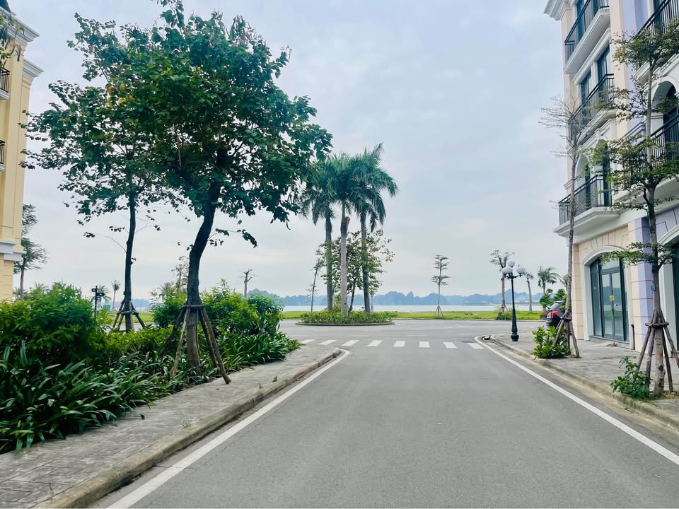 Liền kề Lô Góc 75m² Bãi Cháy - View Biển, Sẵn Sàng Kinh Doanh