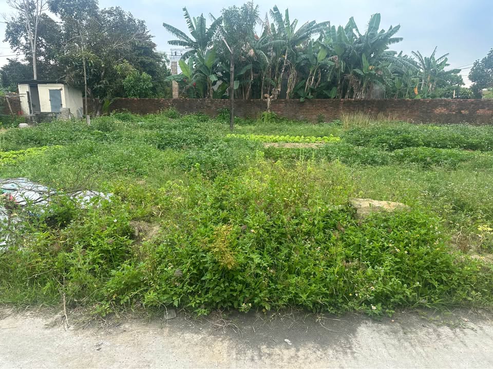 Đất Nền Điện Bàn Quảng Nam 107m² Giá 9xx Triệu - Sổ Đỏ Sẵn Sàng