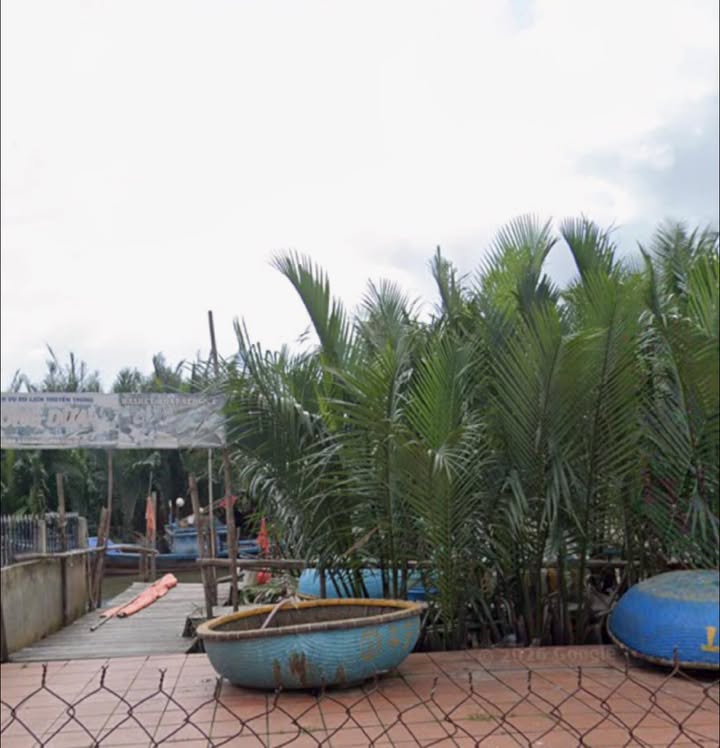 Đất nền Cẩm Thanh, Hội An 106m² - Vị trí kinh doanh đắc địa, giá 4 tỷ