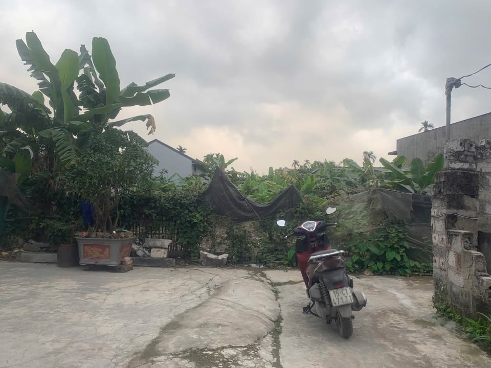 Đất nền Đại Bản, Hồng Bàng 126m² - Sổ đỏ chính chủ, ô tô tận đất!