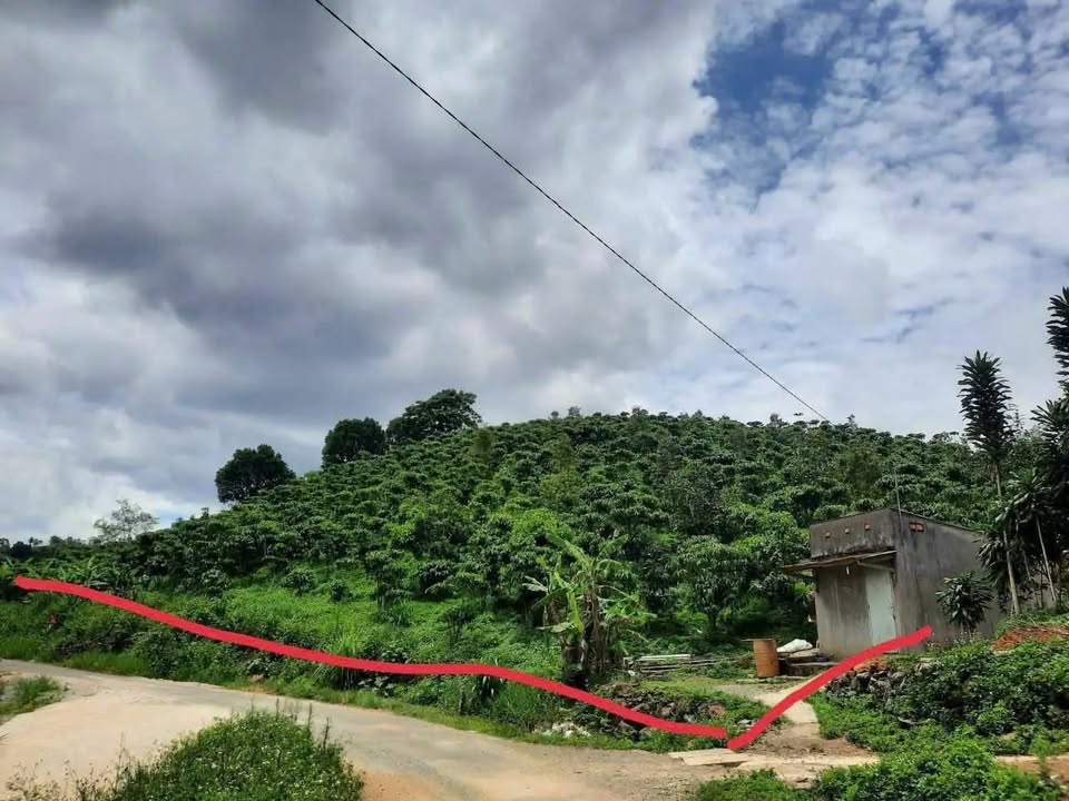 Đất nền Lộc Thành, Bảo Lâm 6199m² - Sổ đỏ chính chủ, tiềm năng phân lô!