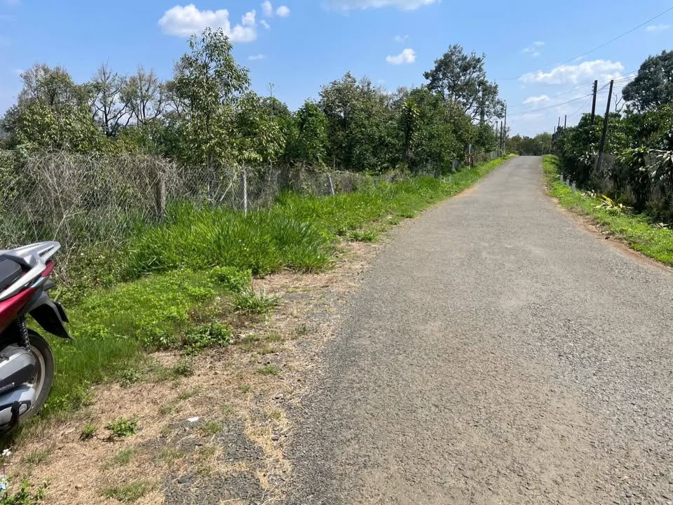 Đất Vườn 4.1 Sào Sầu Riêng - Bảo Lâm, Lâm Đồng - Giá Tốt Đầu Tư