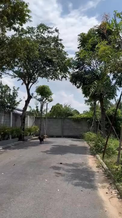 Biệt Thự Vườn Hóc Môn 900m² giá 18.5 tỷ - Sẵn sàng ở ngay!