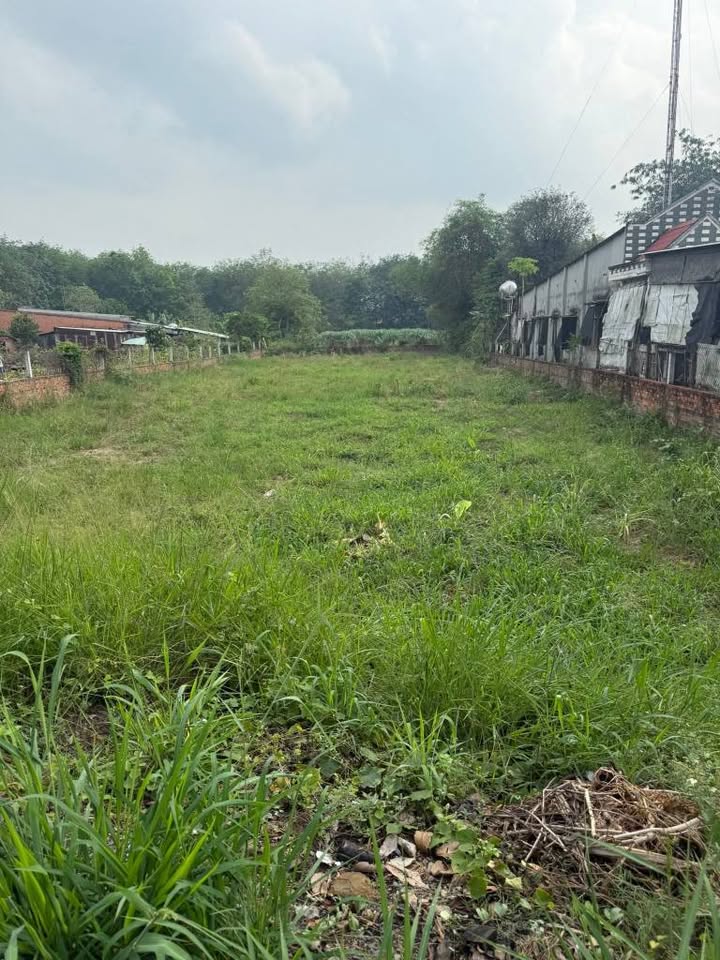 Đất Vườn Mặt Tiền TL15 Củ Chi 2900m² - Giá Đầu Tư 18 Tỷ