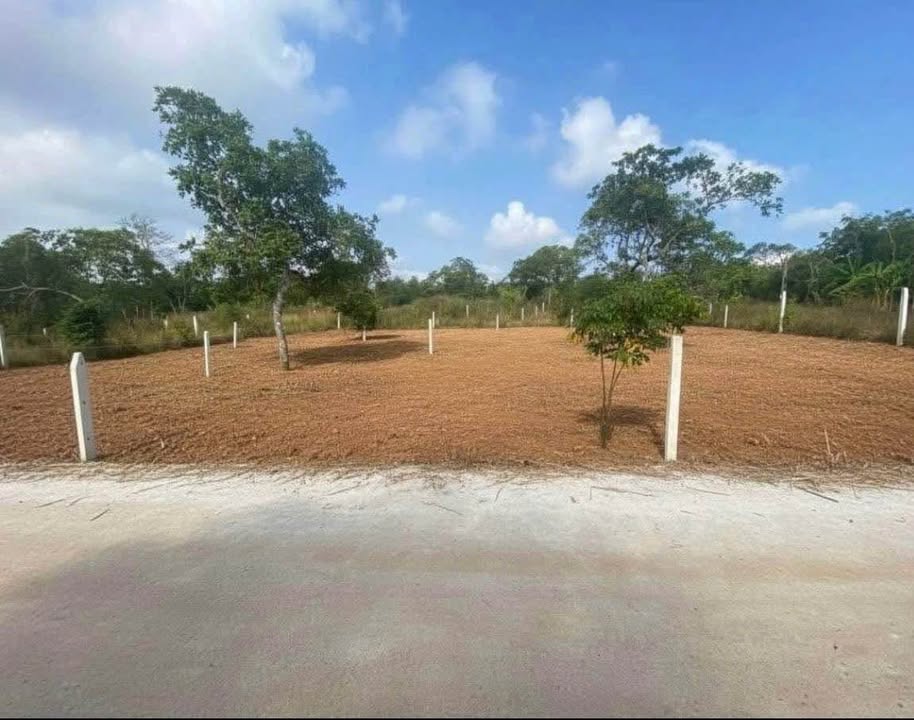 Đất Nền Long Khánh 544m² - Sổ Riêng, Giá 690 Triệu - View Nghỉ Dưỡng