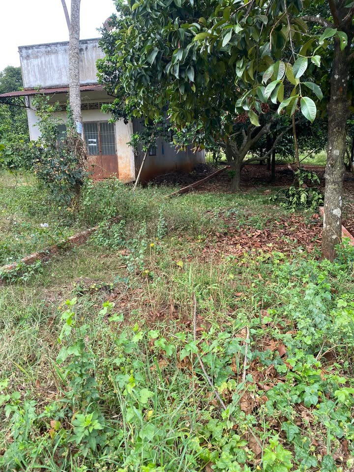 Đất Nền 200m² Sát KCN Bình Lộc, Long Khánh - Giá 890 Triệu, Sổ Riêng