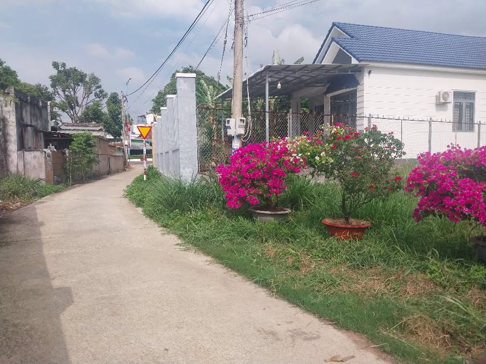 Đất nền TT Đất Đỏ 1.800m² giá 6.999 tỷ - Sổ đỏ chính chủ