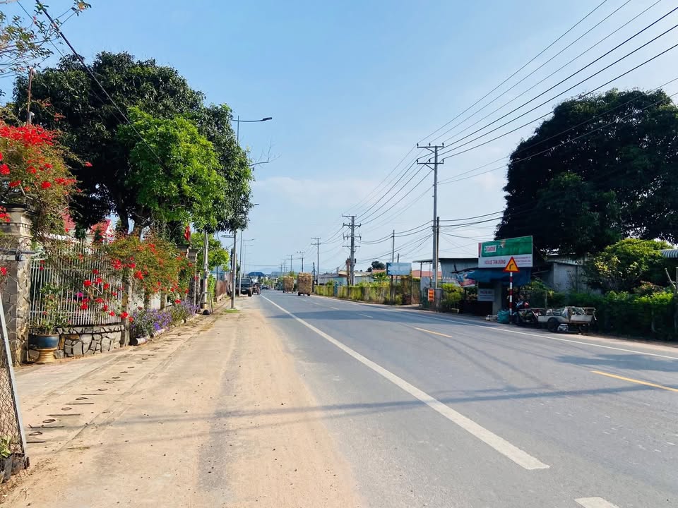 Đất Vàng Xuyên Mộc 248.5m² - Mặt Tiền Tỉnh Lộ 329, Sẵn Sàng Kinh Doanh