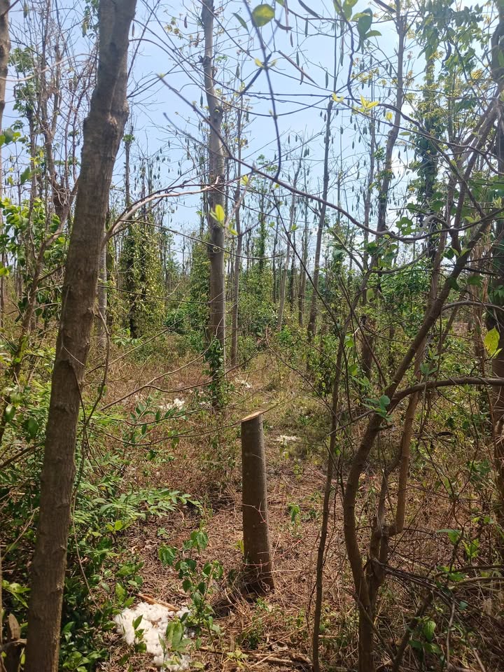 Đất nền Châu Đức 360m² giá 770 triệu - Tiềm năng tăng giá!