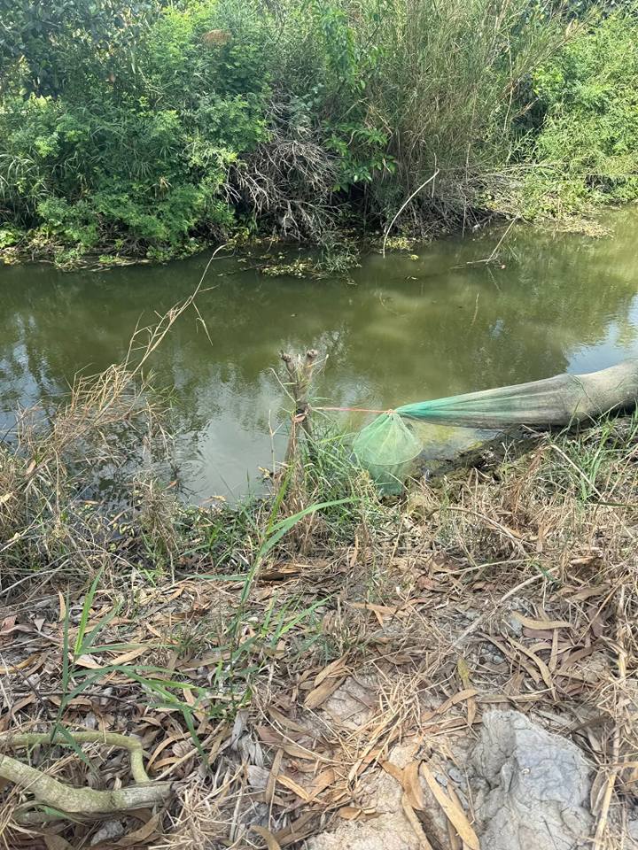 Đất Ruộng Hậu Mỹ Bắc A, Cái Bè 5000m² - Tiềm năng tăng giá vượt trội!