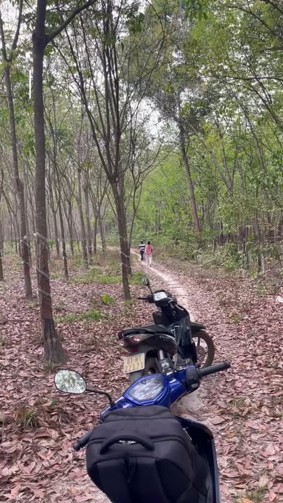 Đất Nông Nghiệp Minh Thạnh 7.2ha - Cơ Hội Đầu Tư Dài Hạn!