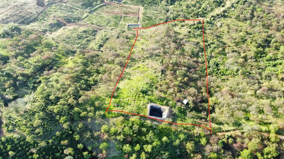 Đất Vườn Nghĩa Thắng Đắk Nông 1.9ha - Đầu tư dài hạn sinh lời!