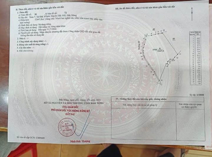 Bán Đất Nông Nghiệp 9.5 Hecta Xã Đắk R'La, Đắk Mil - Giá Tốt Đầu Tư