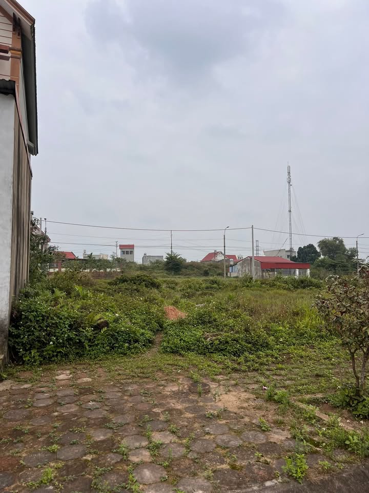 Đất nền Hồng Tiến 100m² - View công viên, sinh lời tức thì!