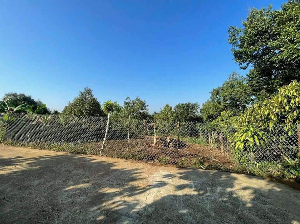 Đất Lộc An 500m² (10x50m) Sổ Đỏ 100m² Thổ Cư - Giá 1.7 Tỷ