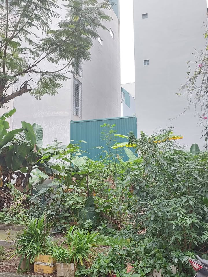 Bán Đất Phân Lô Kiến Hưng Hà Đông 70m² - Sổ Đỏ Vuông Vắn, Giá 11 Tỷ