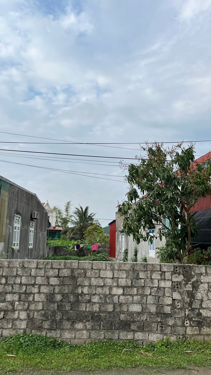 Đất Nền 142m² Phường Đào Duy Từ, Nghi Sơn - 1.5 Tỷ, Sổ Đỏ Lâu Dài