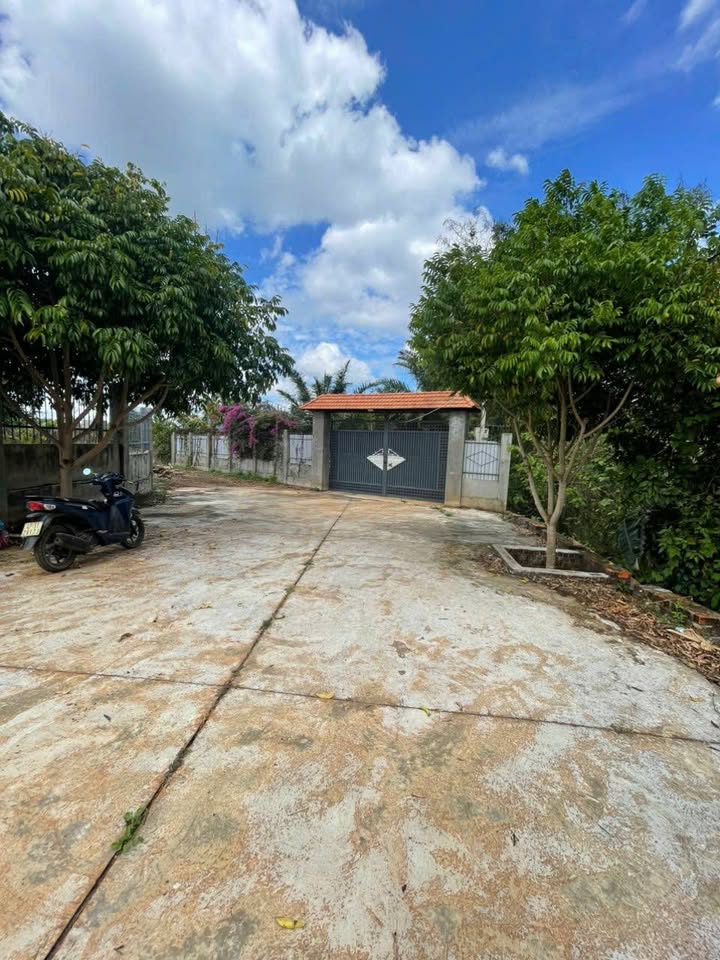 Đất nền Buôn Ma Thuột 3600m² - Sổ đỏ 1.5 tỷ - Tiềm năng sinh lời cao