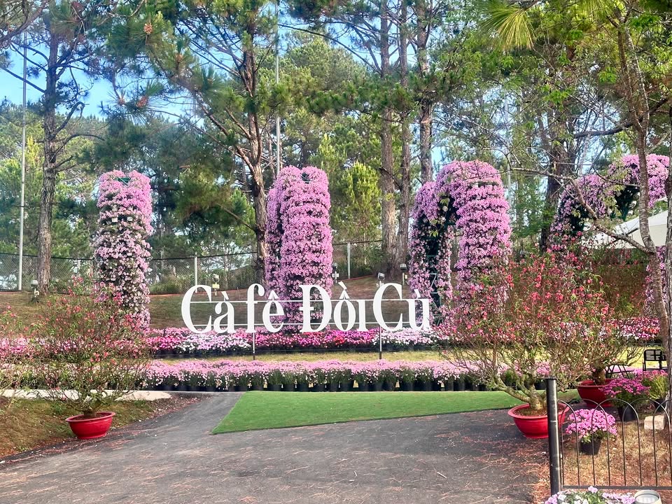 Nhà Hẻm Phan Đình Phùng Đà Lạt 135m² - Dòng Tiền 20 Triệu/Tháng