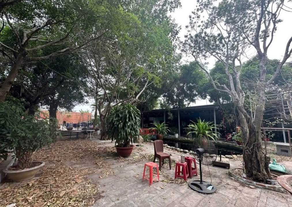 Mặt bằng Đại lộ Lê Duẩn, Phan Thiết 1000m² - Mặt tiền kinh doanh đắc địa!