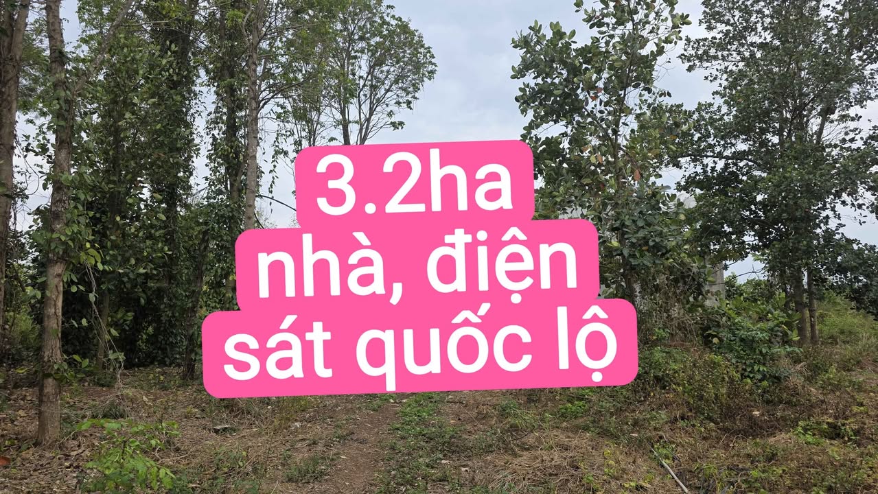 Đất Vườn 3ha Chư Khê, Gia Lai 3 tỷ – Đầu tư dài hạn!