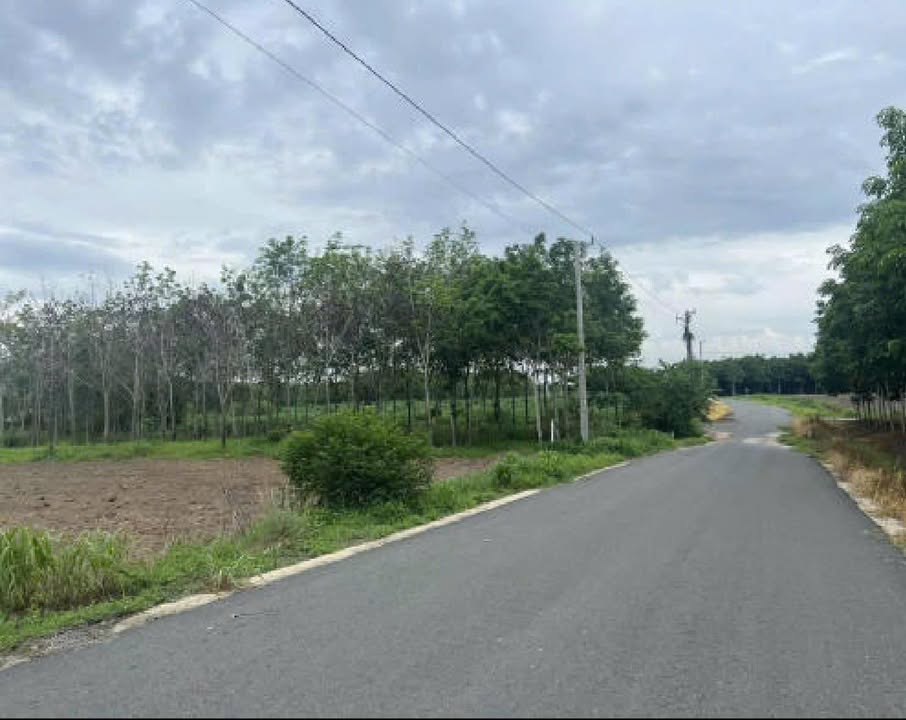 Đất nền Thủ Dầu Một 1000m² - Tiềm năng tăng giá vượt trội!