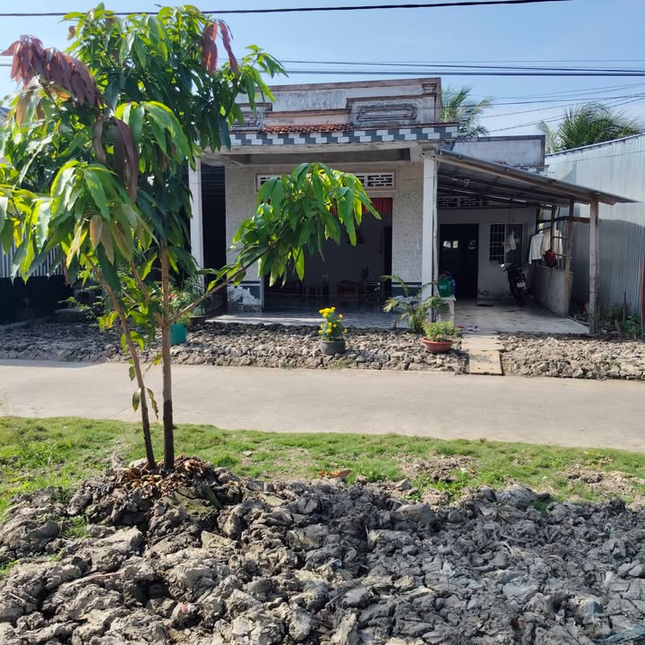 Bán Đất Vĩnh Viễn A, Long Mỹ, Hậu Giang - 295m², Ngang 11.8m, Sẵn Sàng Kinh Doanh