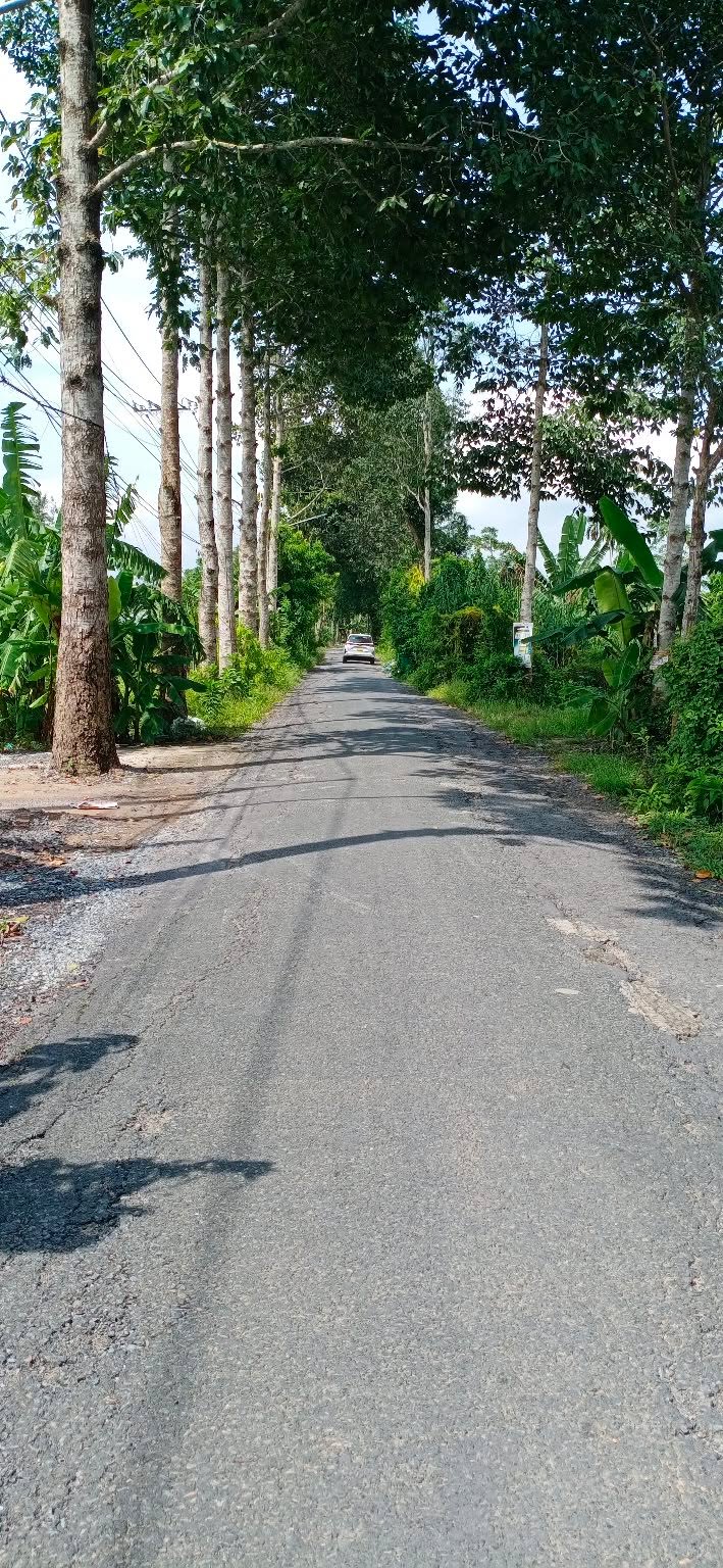 Đất Nền Thổ Cư 170m² Cần Thơ - Giá Tốt, Sẵn Sàng Xây Nhà Vườn!