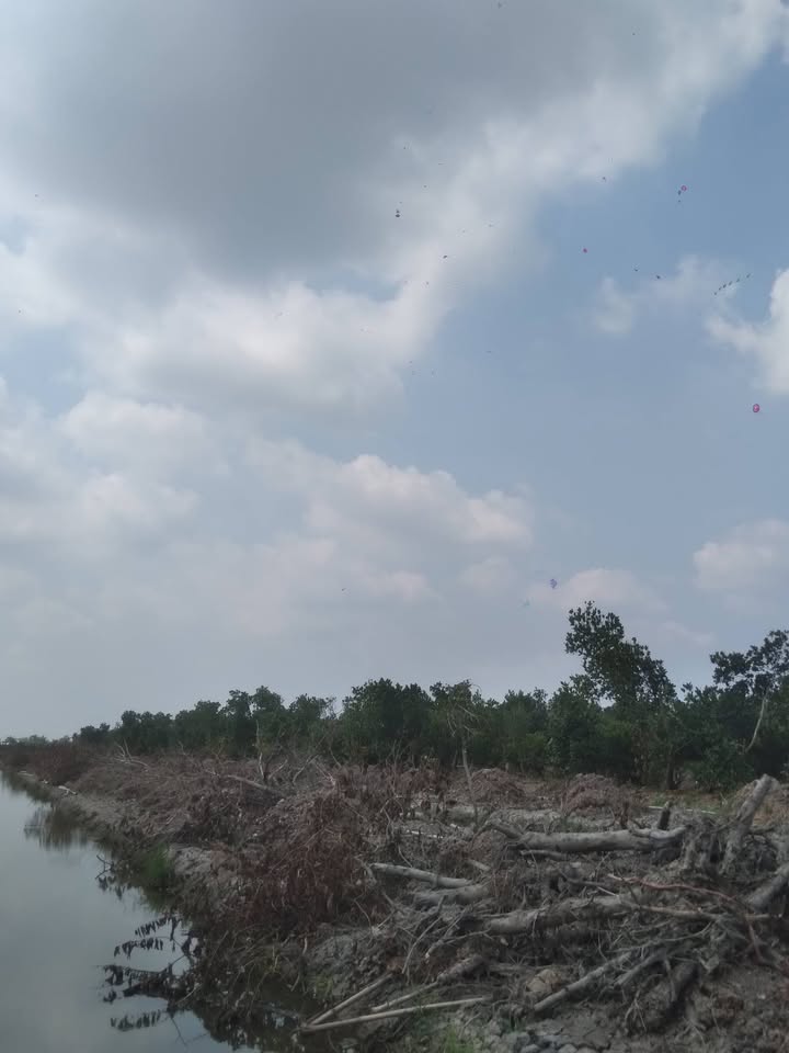 Bán 11 Công Đất Vườn Sầu Riêng Tại Tháp Mười, Đồng Tháp - Sổ Đỏ Chính Chủ