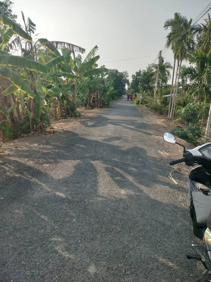 Cho thuê 30 công đất ruộng mặt tiền sông lớn, Tháp Mười, Đồng Tháp