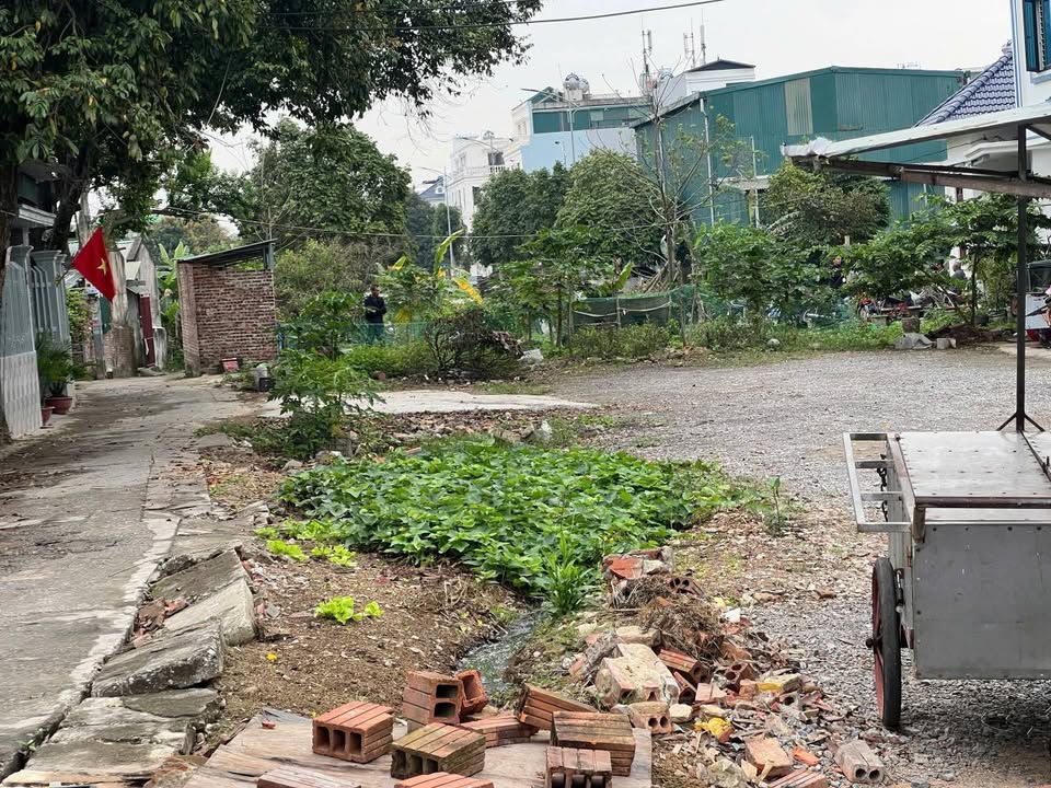 Bán Đất Vàng Phường Đông Hải, TP Thanh Hóa - 216m² Ô Tô Tận Sân, Sổ Đỏ Chính Chủ