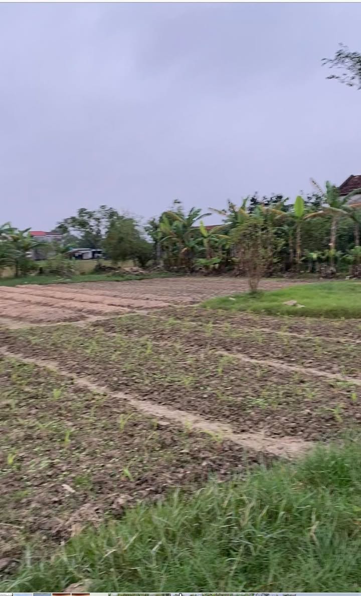 Đất nền Tế Nông, Nông Cống 180m² giá 2 tỷ - Sổ đỏ sẵn sàng