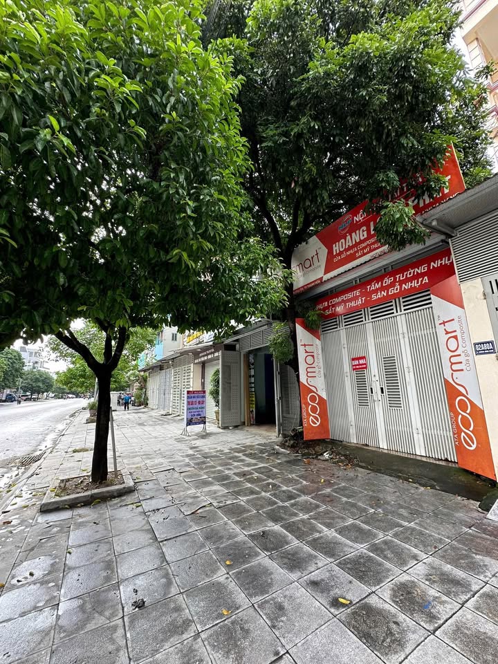 Nhà phố Dương Đình Nghệ, TP. Thanh Hóa 78m² - Mặt tiền kinh doanh đắc địa!