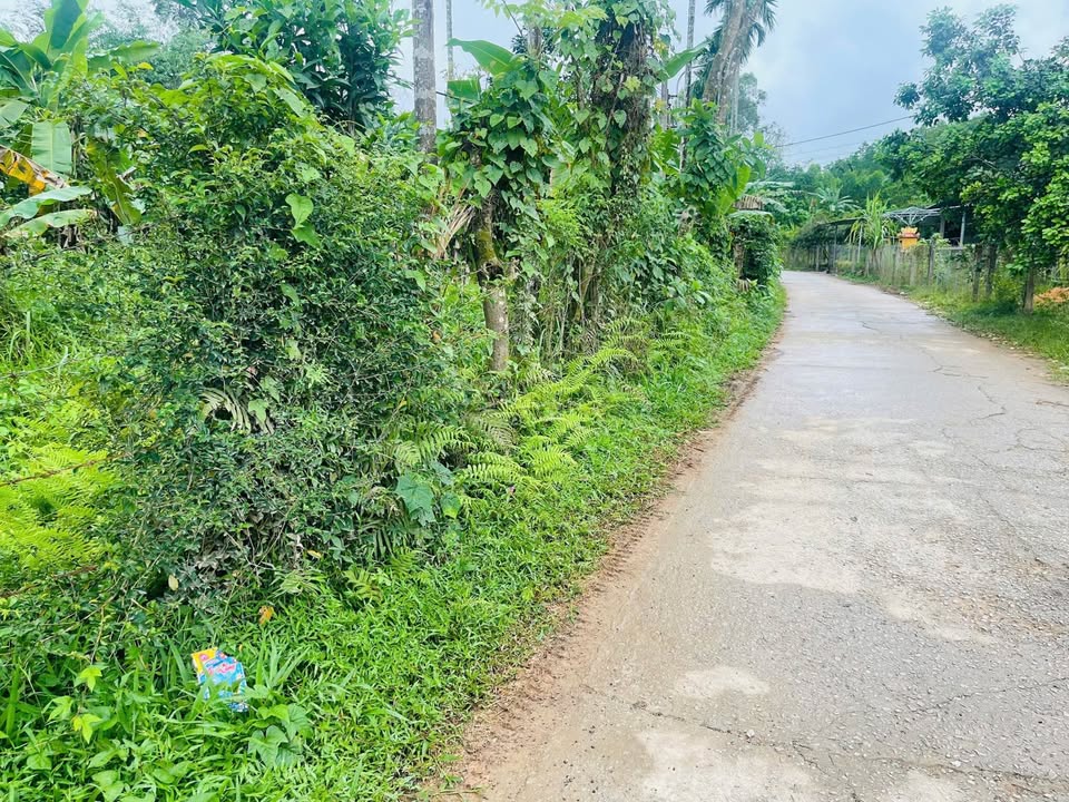 Đất View Sông Hương Thừa Thiên Huế 495m² - Giá 3 Tỷ - Chốn An Yên