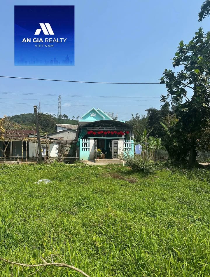 Đất Mặt Tiền Nguyễn Mây, Huế 137m² - Giá 950 Triệu, Gần Chợ Tuần, Sông Hương