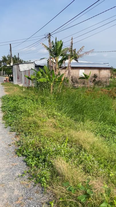 Bán đất nền 130m² Đồng Tháp - Đường xe hơi, 300 triệu